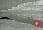 Image of Antarctic seals Antarctica, 1929, second 34 stock footage video 65675020808