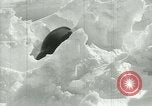 Image of Antarctic seals Antarctica, 1929, second 45 stock footage video 65675020808