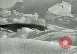 Image of Antarctic seals Antarctica, 1929, second 48 stock footage video 65675020808