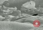 Image of Antarctic seals Antarctica, 1929, second 49 stock footage video 65675020808