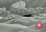 Image of Antarctic seals Antarctica, 1929, second 51 stock footage video 65675020808