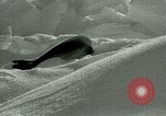 Image of Antarctic seals Antarctica, 1929, second 55 stock footage video 65675020808