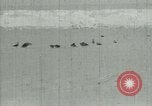 Image of Antarctic birds Antarctica, 1929, second 3 stock footage video 65675020809
