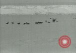 Image of Antarctic birds Antarctica, 1929, second 4 stock footage video 65675020809