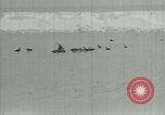 Image of Antarctic birds Antarctica, 1929, second 6 stock footage video 65675020809