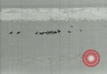 Image of Antarctic birds Antarctica, 1929, second 7 stock footage video 65675020809