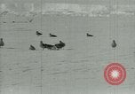 Image of Antarctic birds Antarctica, 1929, second 18 stock footage video 65675020809