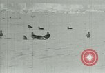 Image of Antarctic birds Antarctica, 1929, second 19 stock footage video 65675020809
