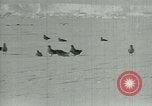 Image of Antarctic birds Antarctica, 1929, second 22 stock footage video 65675020809