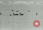 Image of Antarctic birds Antarctica, 1929, second 24 stock footage video 65675020809