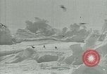 Image of Antarctic birds Antarctica, 1929, second 26 stock footage video 65675020809