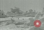 Image of Antarctic birds Antarctica, 1929, second 27 stock footage video 65675020809