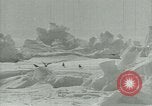 Image of Antarctic birds Antarctica, 1929, second 28 stock footage video 65675020809
