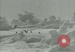 Image of Antarctic birds Antarctica, 1929, second 29 stock footage video 65675020809