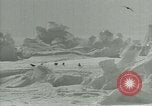 Image of Antarctic birds Antarctica, 1929, second 30 stock footage video 65675020809