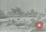 Image of Antarctic birds Antarctica, 1929, second 31 stock footage video 65675020809