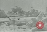 Image of Antarctic birds Antarctica, 1929, second 32 stock footage video 65675020809