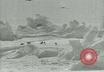 Image of Antarctic birds Antarctica, 1929, second 33 stock footage video 65675020809