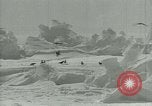 Image of Antarctic birds Antarctica, 1929, second 34 stock footage video 65675020809