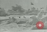 Image of Antarctic birds Antarctica, 1929, second 35 stock footage video 65675020809