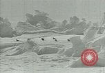 Image of Antarctic birds Antarctica, 1929, second 36 stock footage video 65675020809