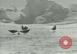 Image of Antarctic birds Antarctica, 1929, second 51 stock footage video 65675020809