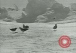 Image of Antarctic birds Antarctica, 1929, second 59 stock footage video 65675020809