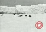 Image of Penguins Antarctica, 1929, second 1 stock footage video 65675020810