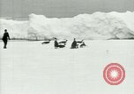 Image of Penguins Antarctica, 1929, second 3 stock footage video 65675020810