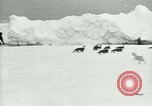 Image of Penguins Antarctica, 1929, second 7 stock footage video 65675020810