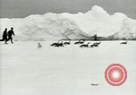 Image of Penguins Antarctica, 1929, second 8 stock footage video 65675020810