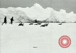 Image of Penguins Antarctica, 1929, second 9 stock footage video 65675020810