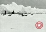 Image of Penguins Antarctica, 1929, second 10 stock footage video 65675020810