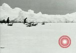Image of Penguins Antarctica, 1929, second 11 stock footage video 65675020810