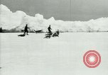 Image of Penguins Antarctica, 1929, second 12 stock footage video 65675020810