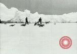 Image of Penguins Antarctica, 1929, second 13 stock footage video 65675020810
