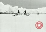 Image of Penguins Antarctica, 1929, second 14 stock footage video 65675020810