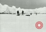 Image of Penguins Antarctica, 1929, second 15 stock footage video 65675020810