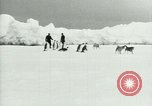 Image of Penguins Antarctica, 1929, second 16 stock footage video 65675020810