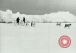 Image of Penguins Antarctica, 1929, second 17 stock footage video 65675020810