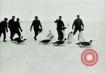 Image of Penguins Antarctica, 1929, second 32 stock footage video 65675020810
