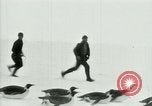 Image of Penguins Antarctica, 1929, second 36 stock footage video 65675020810