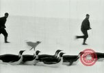 Image of Penguins Antarctica, 1929, second 37 stock footage video 65675020810