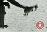 Image of Penguins Antarctica, 1929, second 52 stock footage video 65675020810