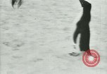Image of Penguins Antarctica, 1929, second 53 stock footage video 65675020810