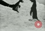 Image of Penguins Antarctica, 1929, second 54 stock footage video 65675020810