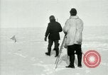 Image of Byrd Expedition Antarctica, 1929, second 29 stock footage video 65675020811