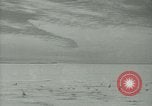 Image Snow pétrels l'Antarctique, 1929, de la seconde 7 séquences d'archives historiques vidéo 65675020813