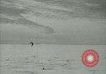 Image Snow pétrels l'Antarctique, 1929, de la seconde 8 séquences d'archives historiques vidéo 65675020813