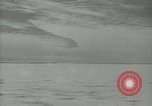 Image Snow pétrels l'Antarctique, 1929, de la seconde 9 séquences d'archives historiques vidéo 65675020813